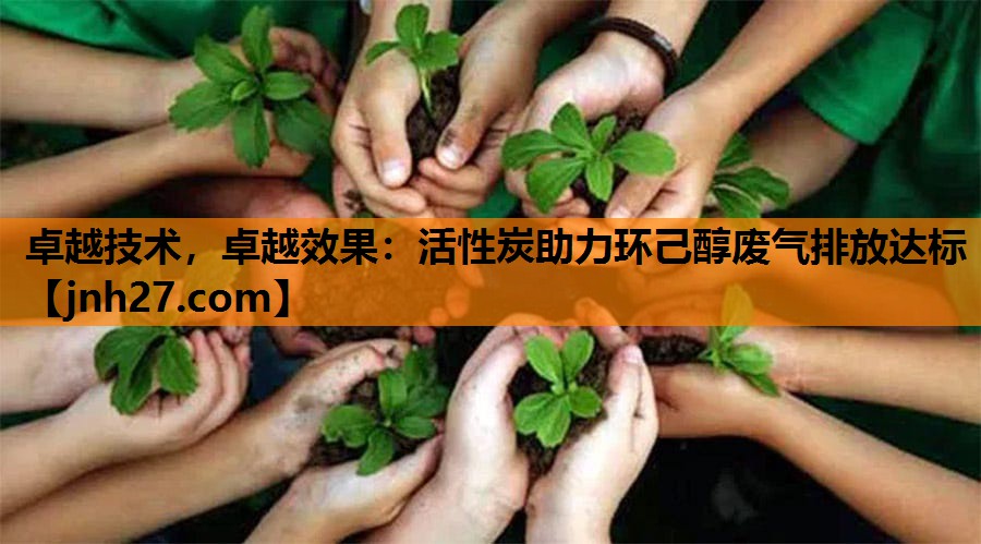 卓越技术，卓越效果：活性炭助力环己醇废气排放达标