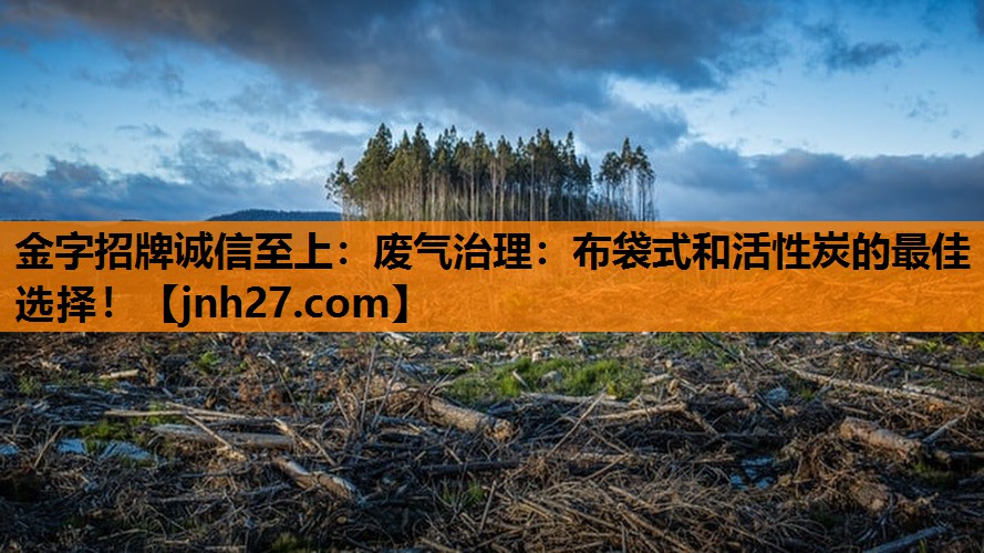 金字招牌诚信至上：废气治理：布袋式和活性炭的最佳选择！