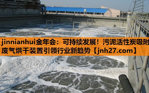 <strong>jinnianhui金年会：可持续发展！污泥活性炭吸附废气烘干装置引领行业新趋势</strong>