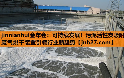 可持续发展！污泥活性炭吸附废气烘干装置引领行业新趋势